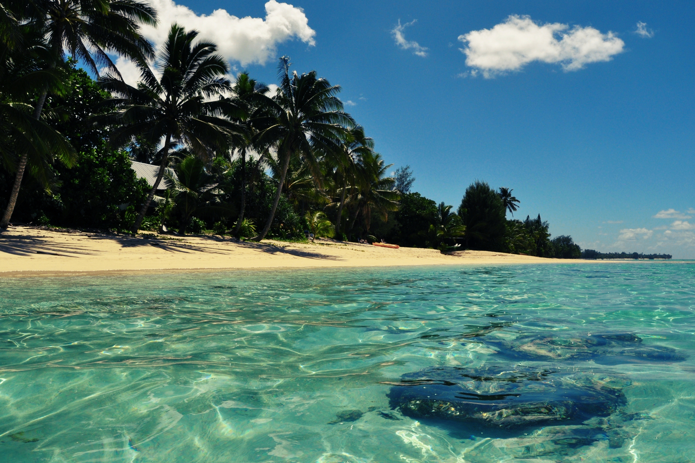 avatiu, rarotonga (3).webp